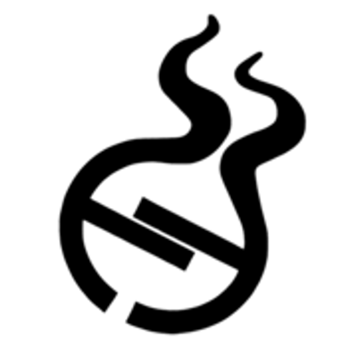 Tiziana Terenzi logo